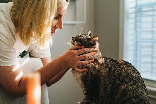 blonde woman petting tabby cat